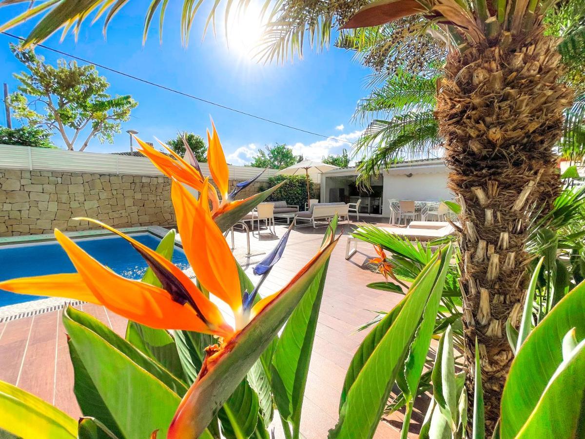 Villa Haygon Private Heated Pool, Bbq & Sauna San Vicente Raspeig ภายนอก รูปภาพ