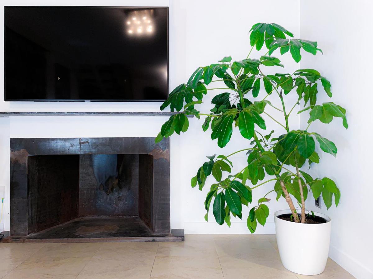 Villa Haygon Private Heated Pool, Bbq & Sauna San Vicente Raspeig ภายนอก รูปภาพ